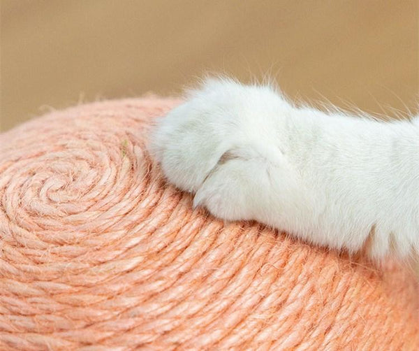 Mushroom Shaped Cat Climbing Frame