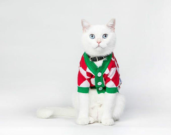 Christmas Pet Sweater