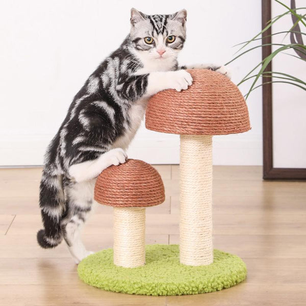 Mushroom Shaped Cat Climbing Frame