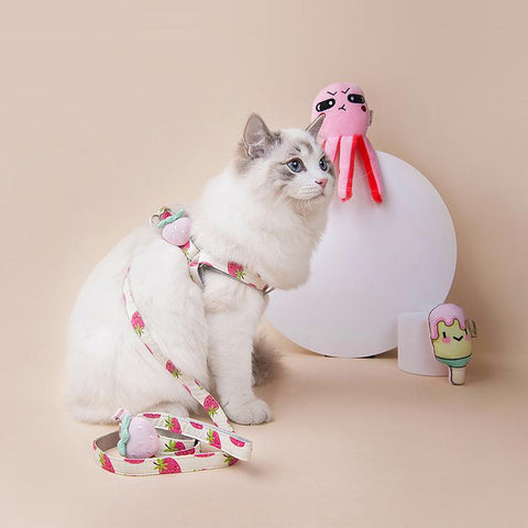 Fruit Style Cat Harness - happyandpolly