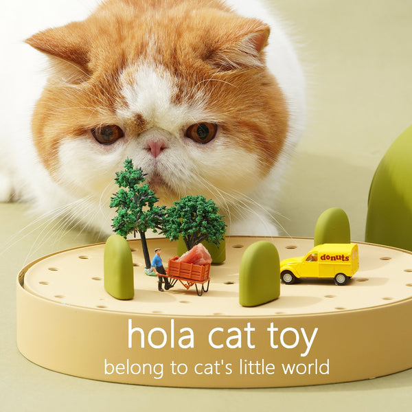 Turntable Ball Hole 3 in 1 Cat Toy